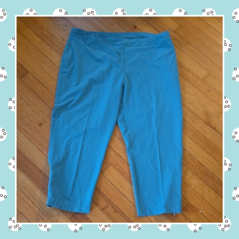 Chico's Blue Ankle Pants